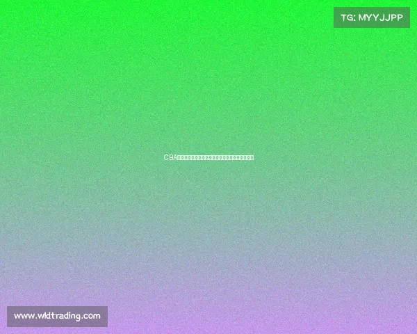 CBA海外联赛新风潮球员发展与国际化进程的深度解析