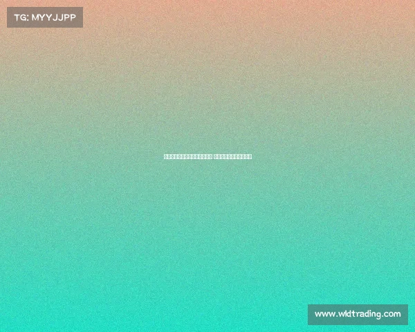 若昂马里奥谈加盟尤文自豪之情 并盛赞洛卡特利视野出色