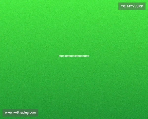 英雄联盟S赛老将重返战场 再掀竞技风云续写荣耀篇章