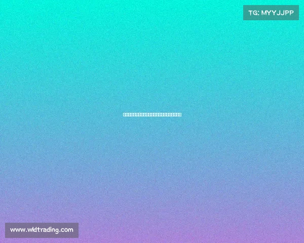 西甲边锋速度排行榜：谁是赛场上最快的风暴与飞翼