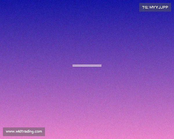 马尔蒂尼自谦脚下灵活但认为马拉多纳更出色