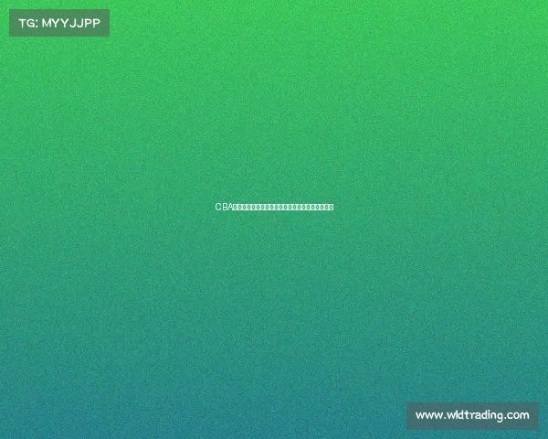 CBA海外联赛新风潮球员发展与国际化进程的深度解析